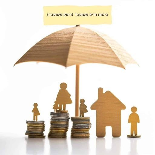ביטוח-חיים-משועבד-ריסק-משועבד.jpg