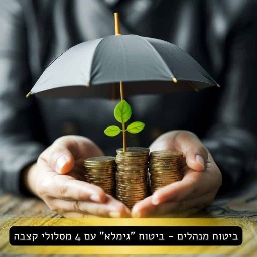 ביטוח-מנהלים-ביטוח-גימלא-עם-4-מסלולי-קצבה.jpg